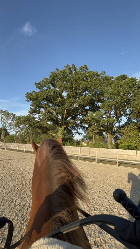 Pension &eacute;curie de propri&eacute;taire ST PERE EN RETZ (44320)