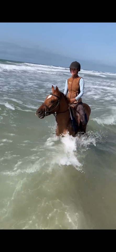 Hongre plein papier bwp