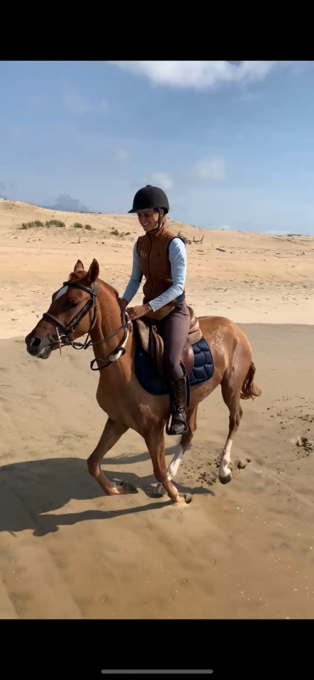 Hongre plein papier bwp