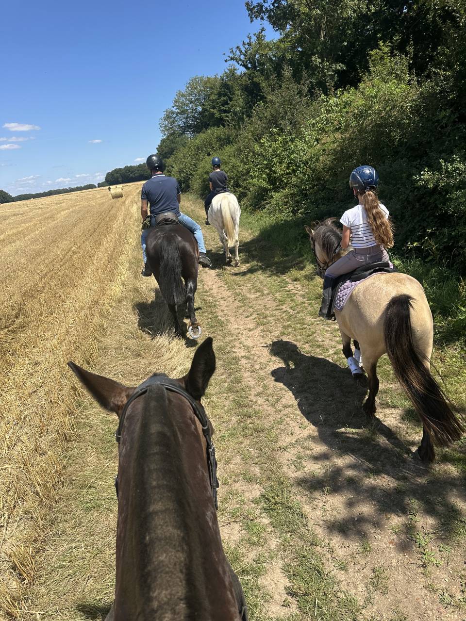 Belle propri&eacute;t&eacute; &eacute;questre + G&icirc;tes