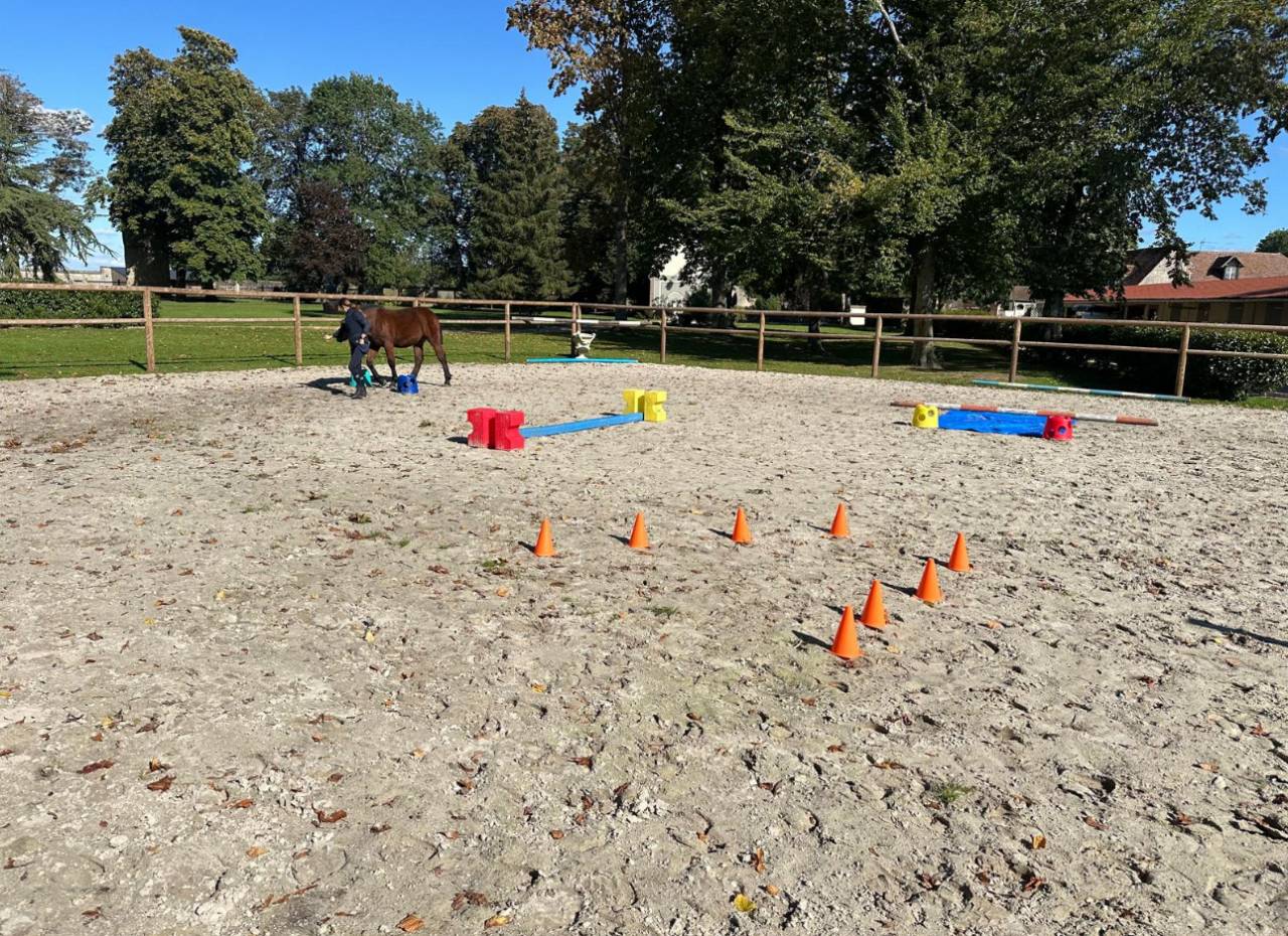 Belle propri&eacute;t&eacute; &eacute;questre + G&icirc;tes