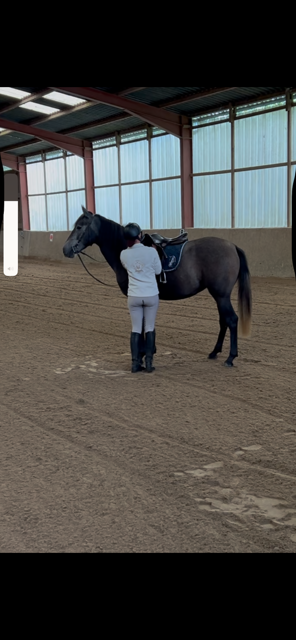 Jument Lusitanienne PP