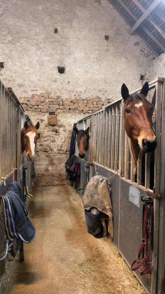 &Eacute;curie de propri&eacute;taire 