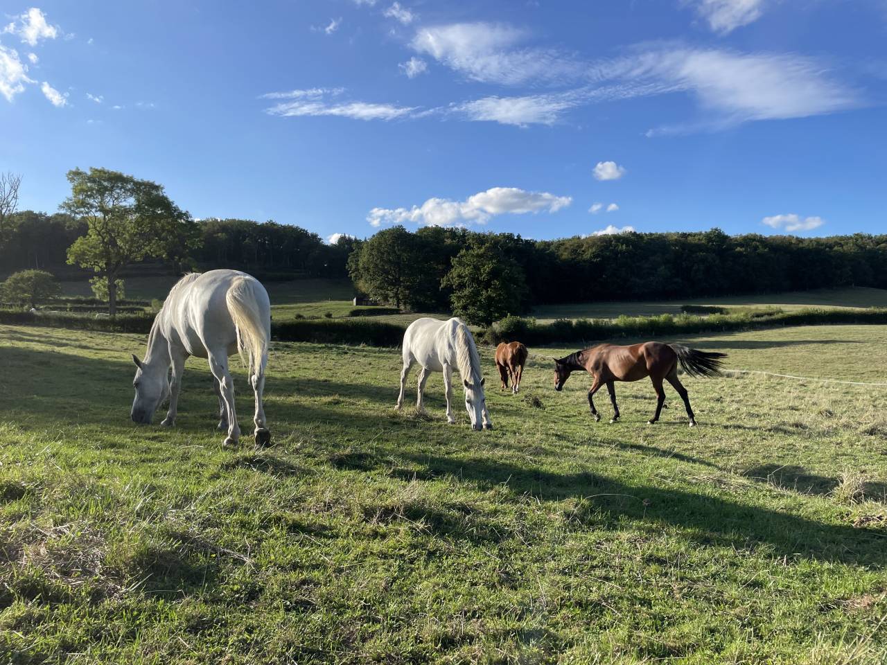 &Eacute;curie de propri&eacute;taire 