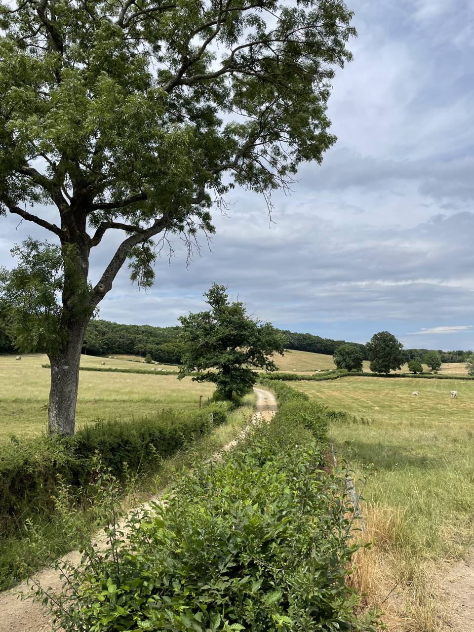 &Eacute;curie de propri&eacute;taire 