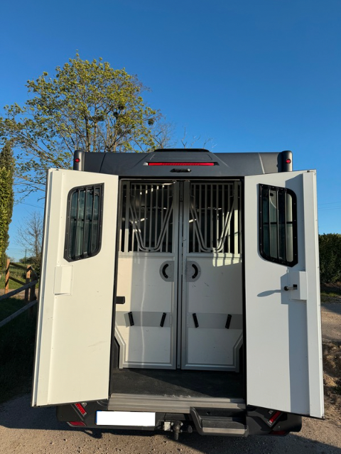 CAMION CHEVAUX THEAULT RENAULT MASTER GRAND CONFORT