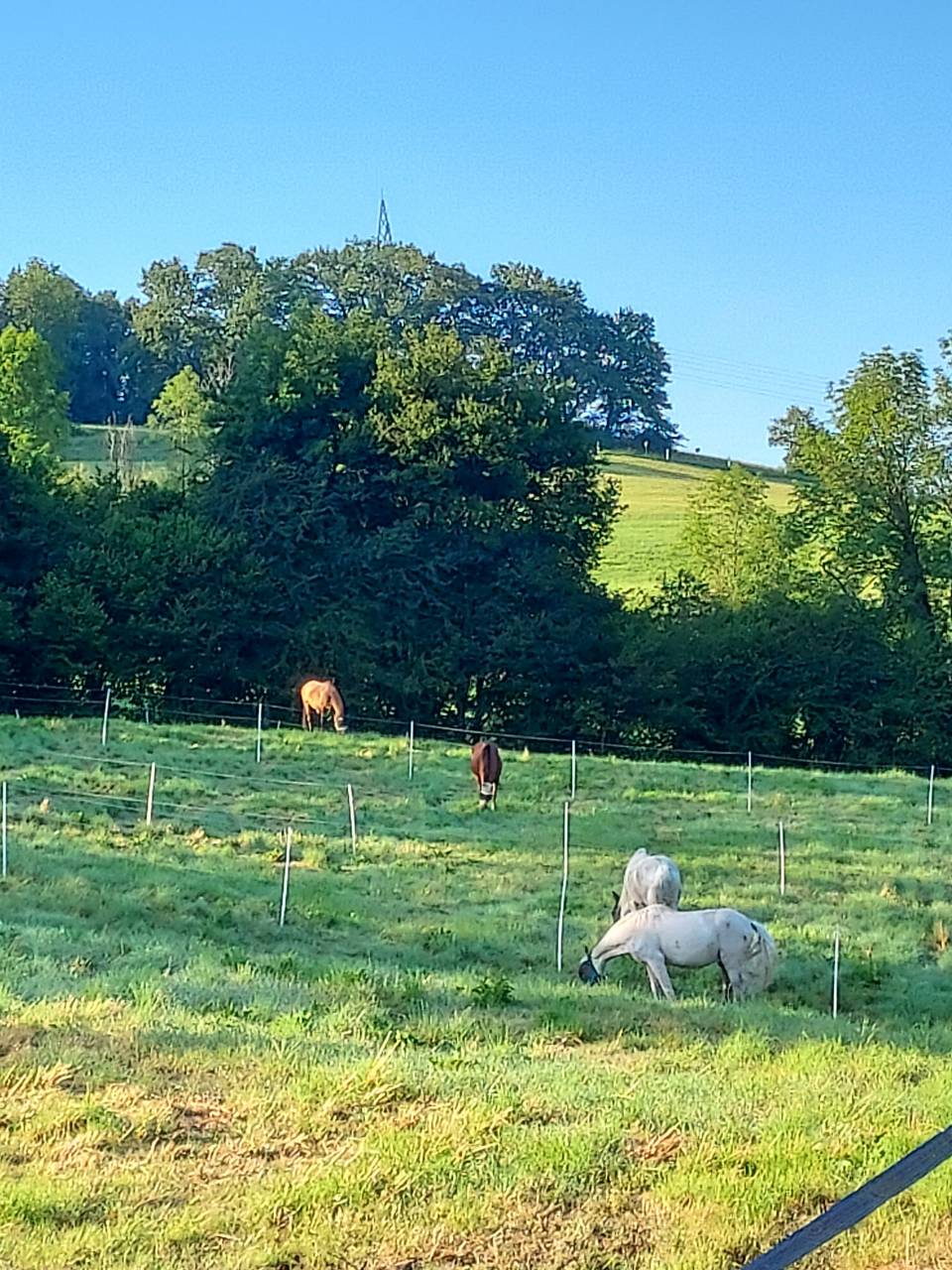 Pension &eacute;curie de propri&eacute;taires