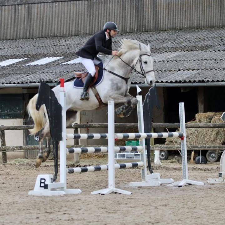 Location sur 2 ans - hongre - toutes disciplines 