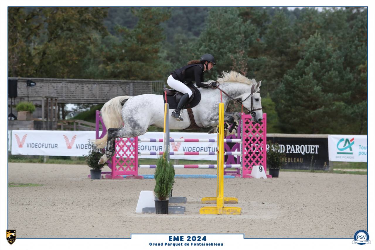 Location sur 2 ans - hongre - toutes disciplines 