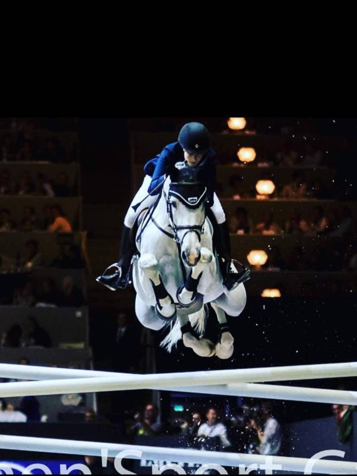 Jument d'&eacute;levage &agrave; vendre. ❗️Top g&eacute;n&eacute;tique ❗️