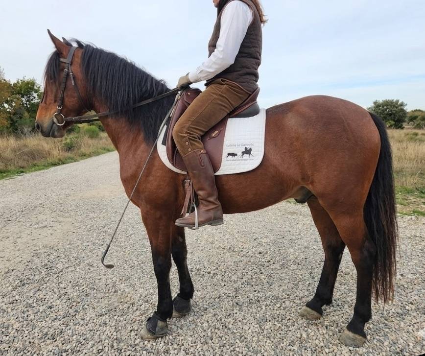 PRE 4 ans cherche sa famille 