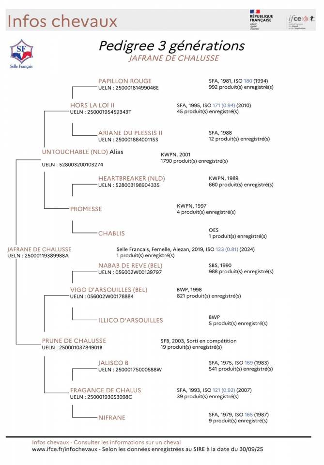 Jument 7 ans intouchable x vigo X fragance de chalusse