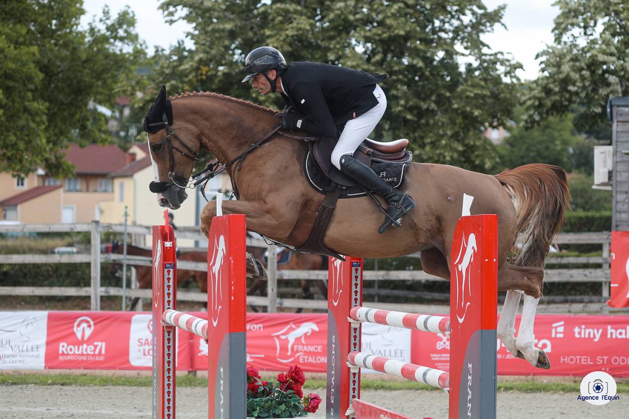 Jument 7 ans intouchable x vigo X fragance de chalusse