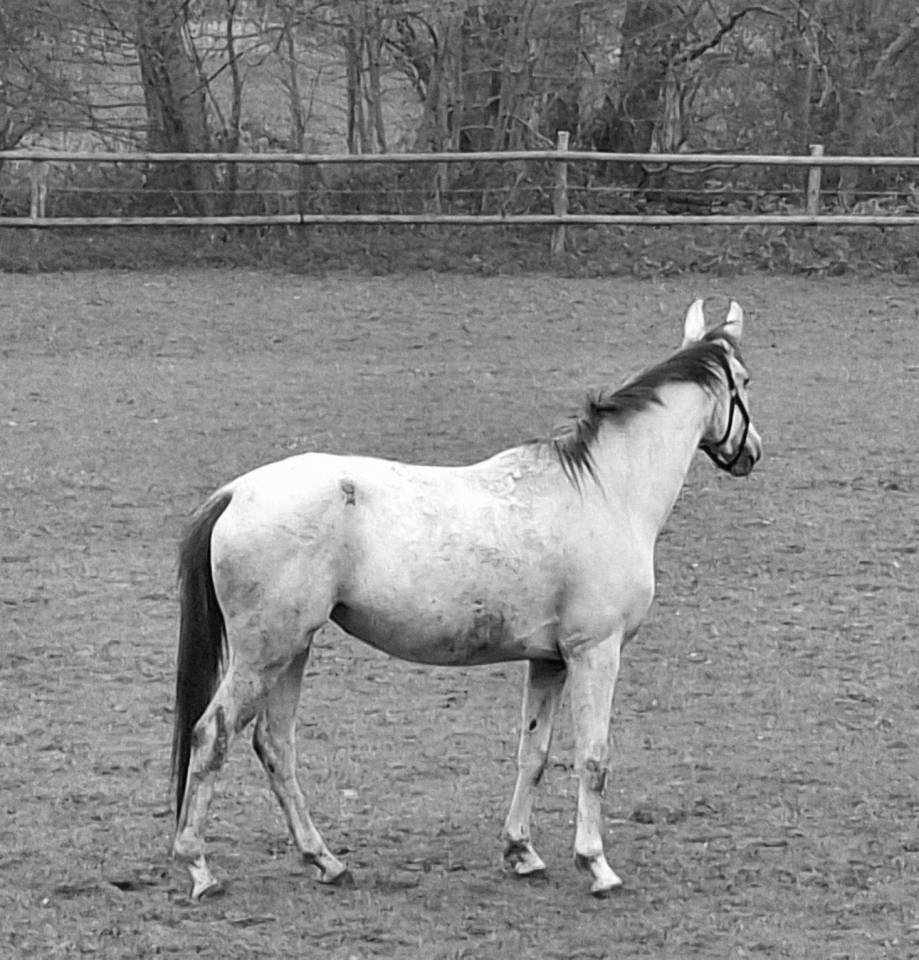 4 ans &agrave; vendre