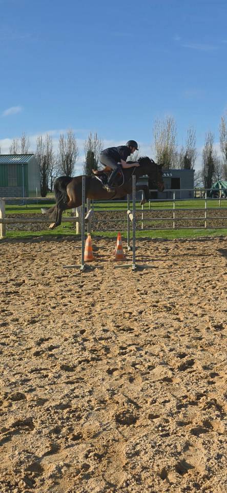 Ponette de sport - 5 ans - D - PFS