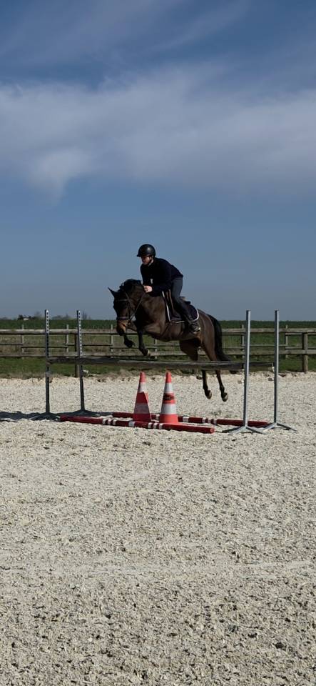 Ponette de sport - 5 ans - D - PFS