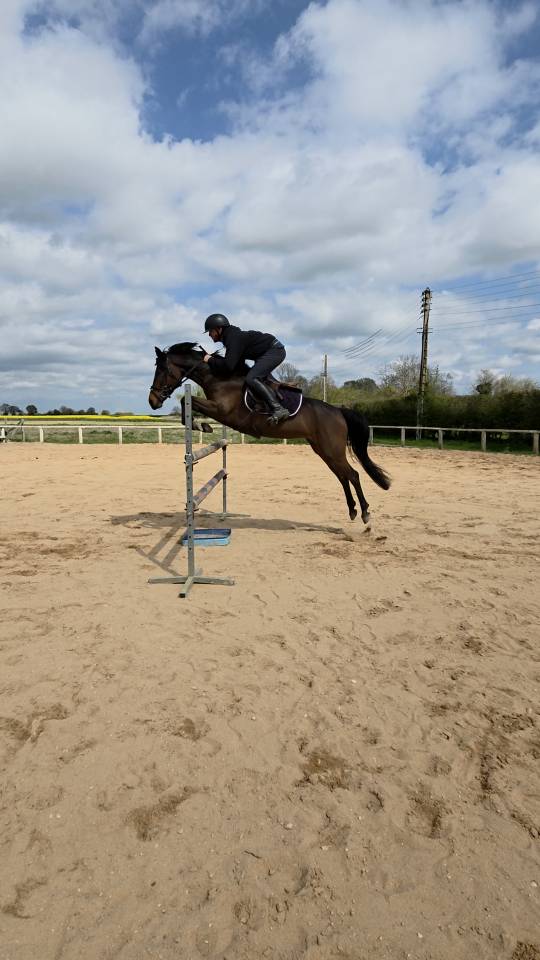 Ponette de sport - 5 ans - D - PFS