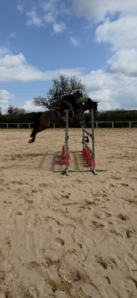 Ponette de sport - 5 ans - D - PFS