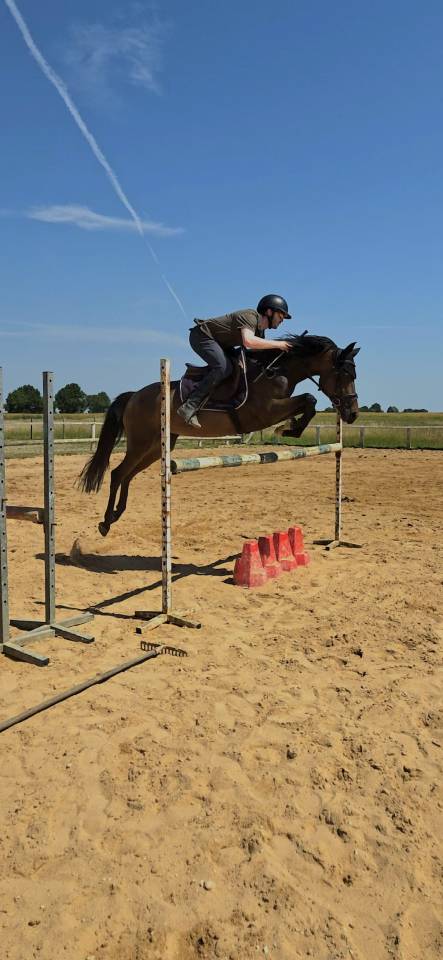 Ponette de sport - 5 ans - D - PFS