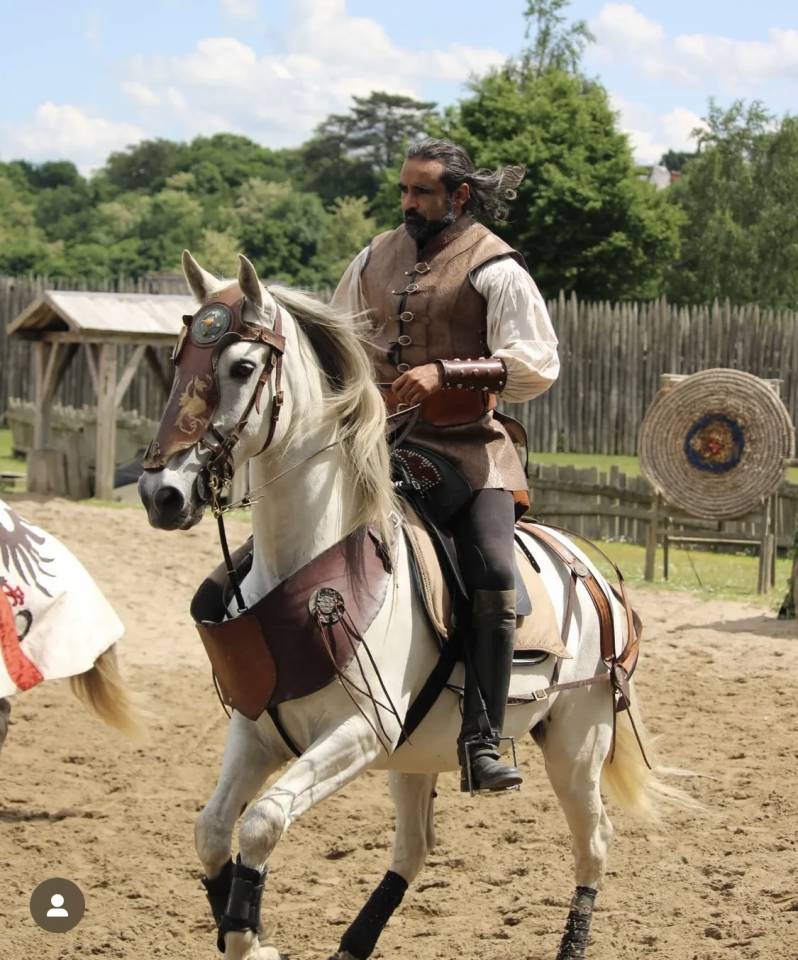 Hongre &agrave; vendre 