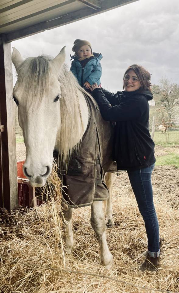 Hongre &agrave; vendre 