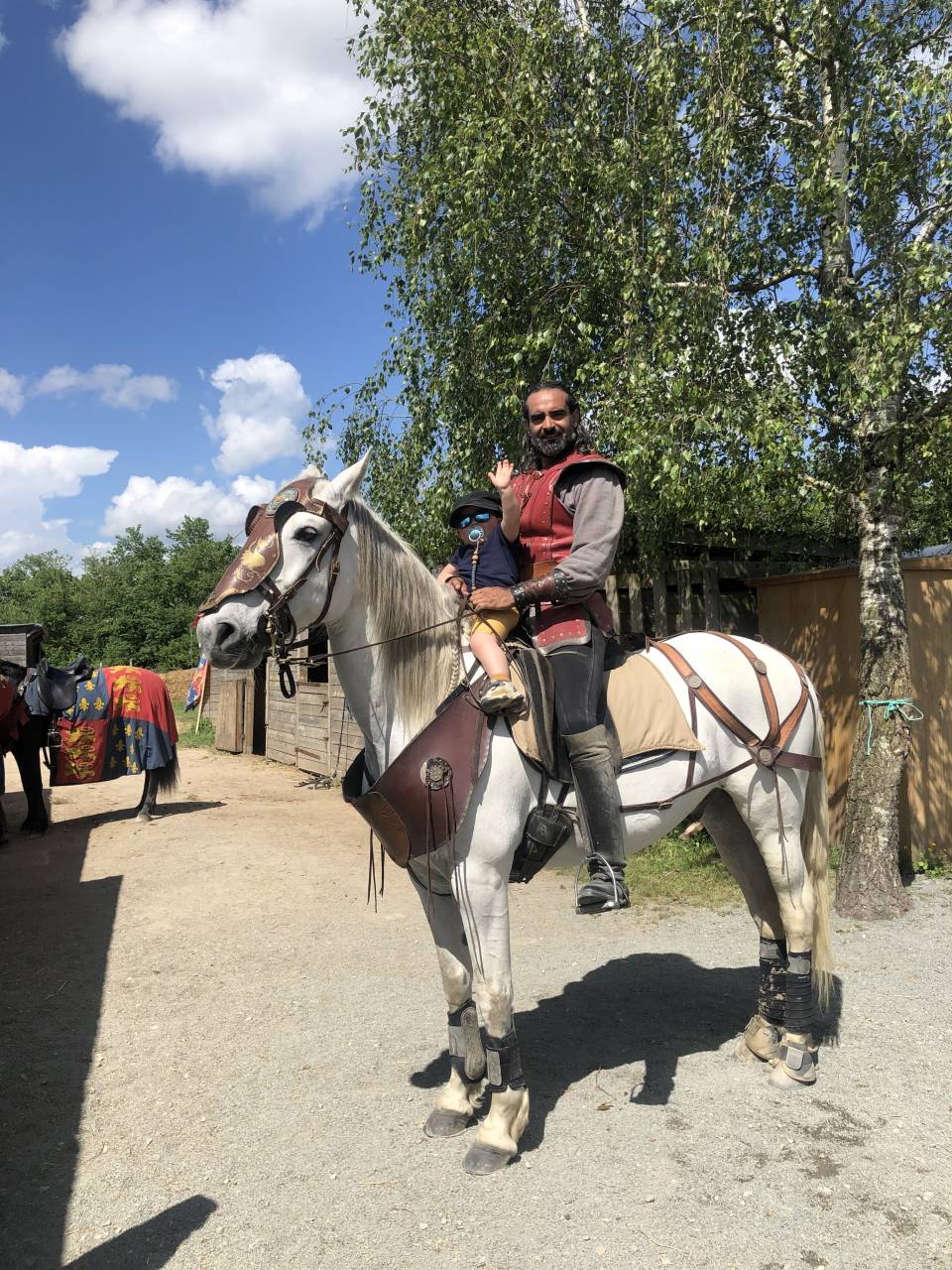 Hongre &agrave; vendre 