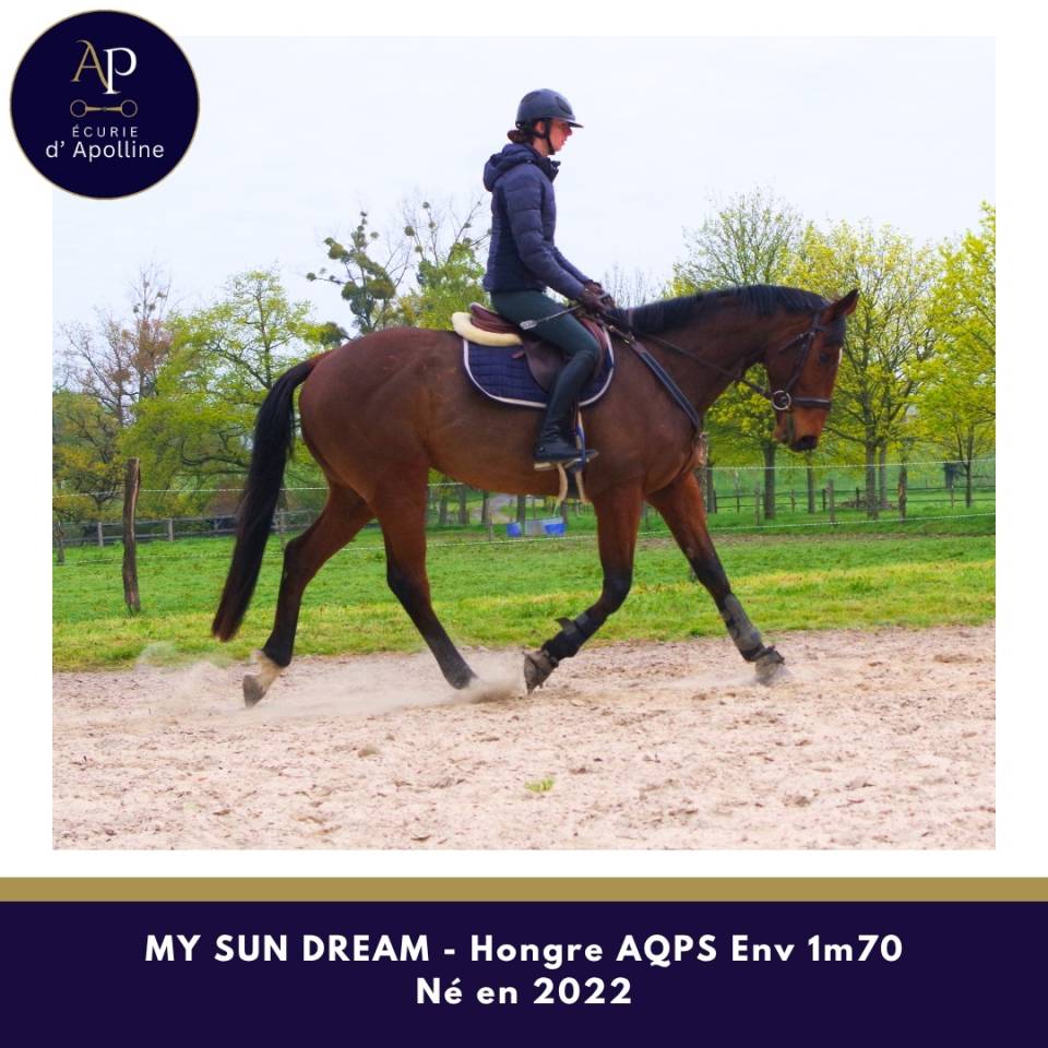 AQPS 4 ans env 1m70