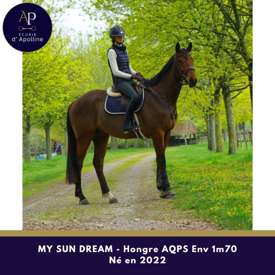AQPS 4 ans env 1m70