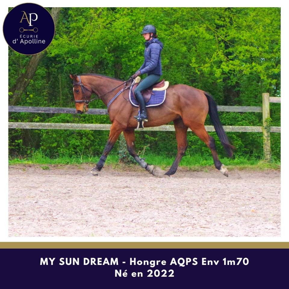 AQPS 4 ans env 1m70