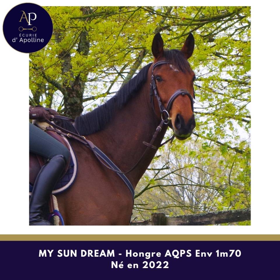 AQPS 4 ans env 1m70