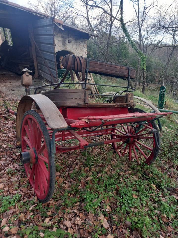 Cal&egrave;che dresseuse