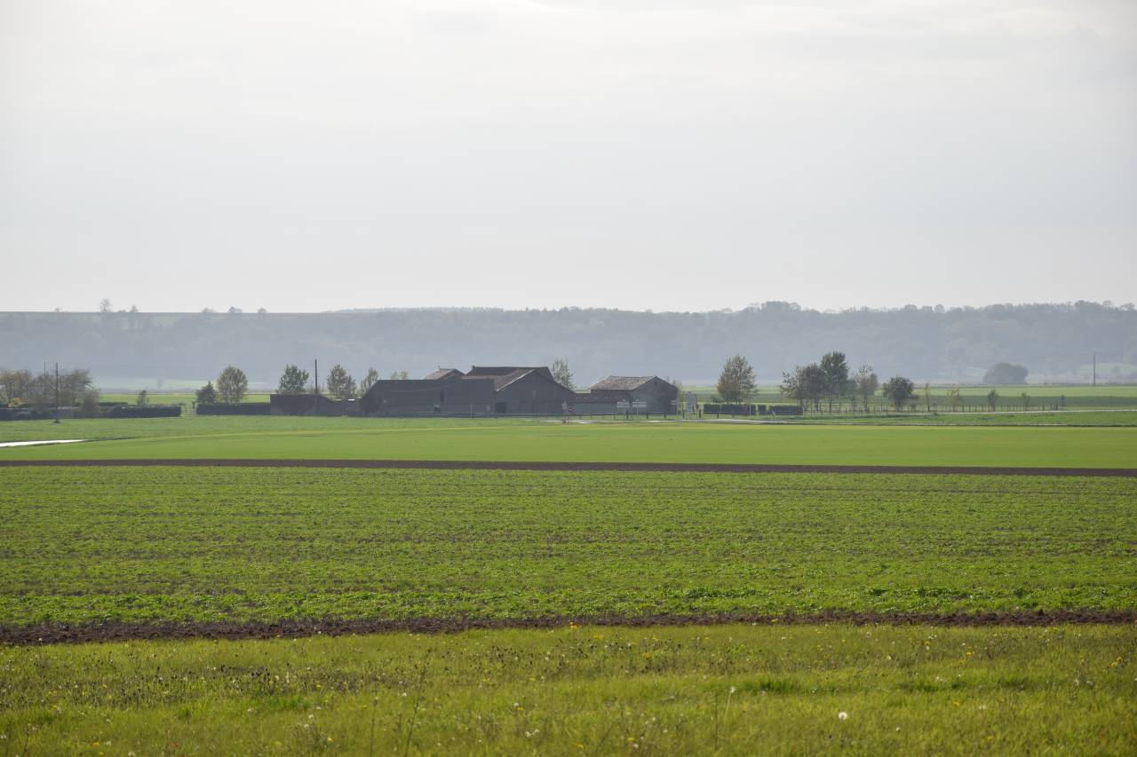 LOCATION STRUCTURE PENSIONS ET PRODUCTION PAILLE FOIN