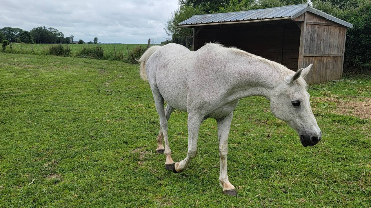 LOCATION STRUCTURE PENSIONS ET PRODUCTION PAILLE FOIN