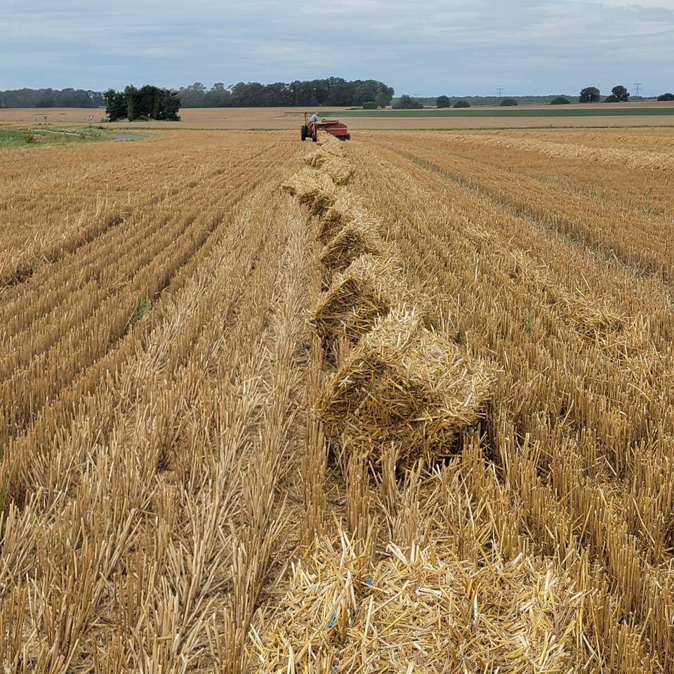 LOCATION STRUCTURE PENSIONS ET PRODUCTION PAILLE FOIN