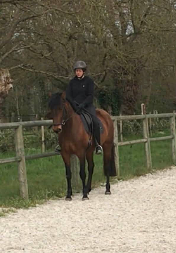 Jument ib&eacute;rique 4 ans d&eacute;bourr&eacute;e 