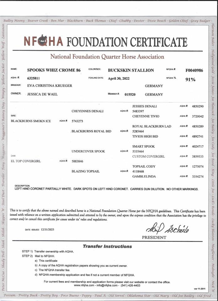 Etalon Quarter Horse Buckskin Dun