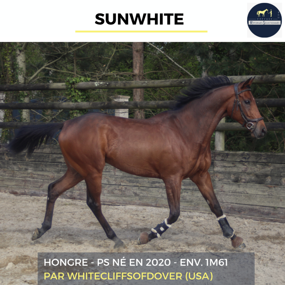 SUNWHITE - PS - 6 ANS 