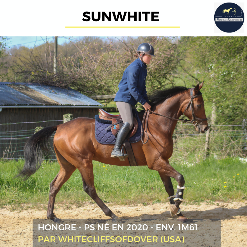SUNWHITE - PS - 6 ANS 