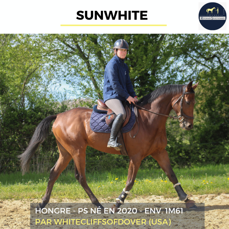 SUNWHITE - PS - 6 ANS 