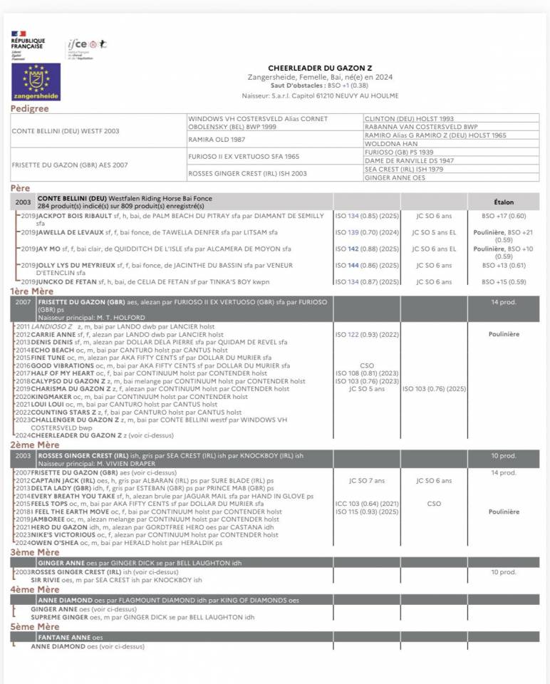 CHEERLEADER DU GAZON 