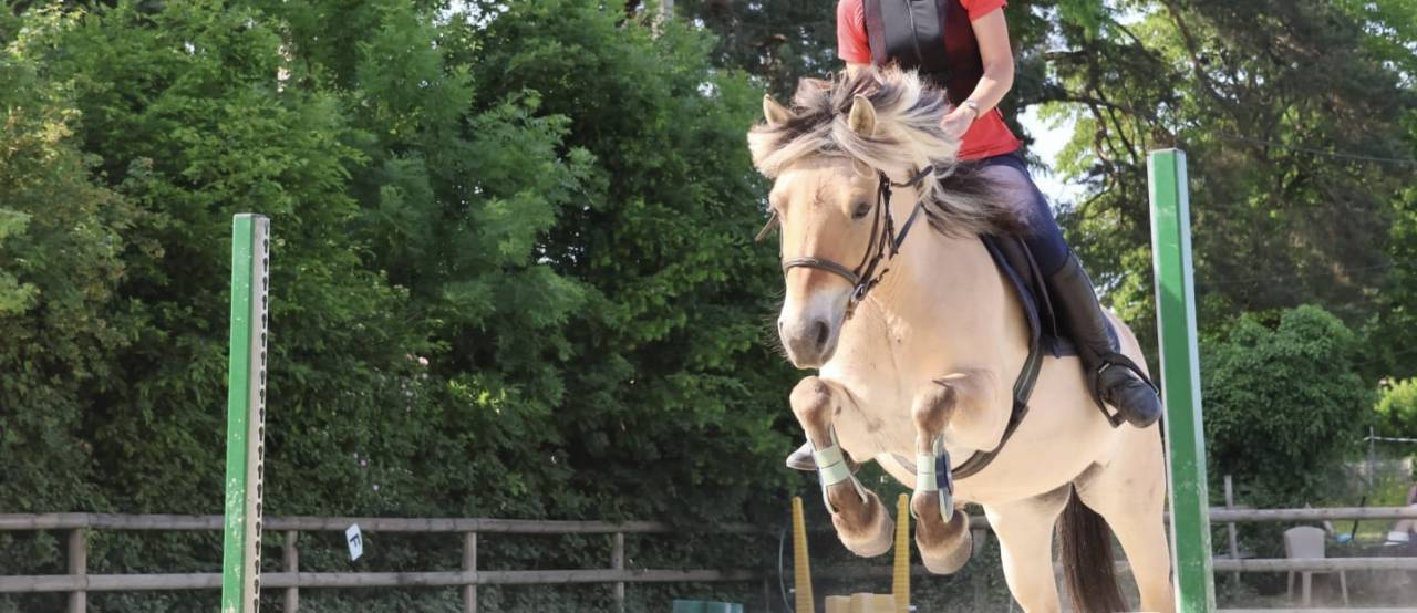DP ou TP avec une jument Fjord pour loisir proche Lyon