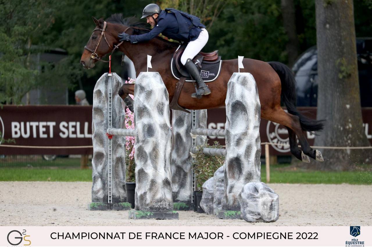 Vente cheval petit prix 