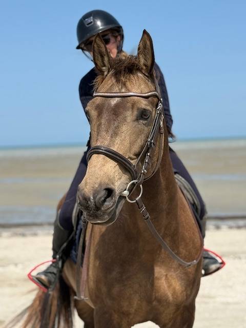 Recherche passionn&eacute;(e) - Tiers de pension - Long terme