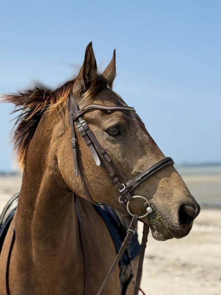 Recherche passionn&eacute;(e) - Tiers de pension - Long terme