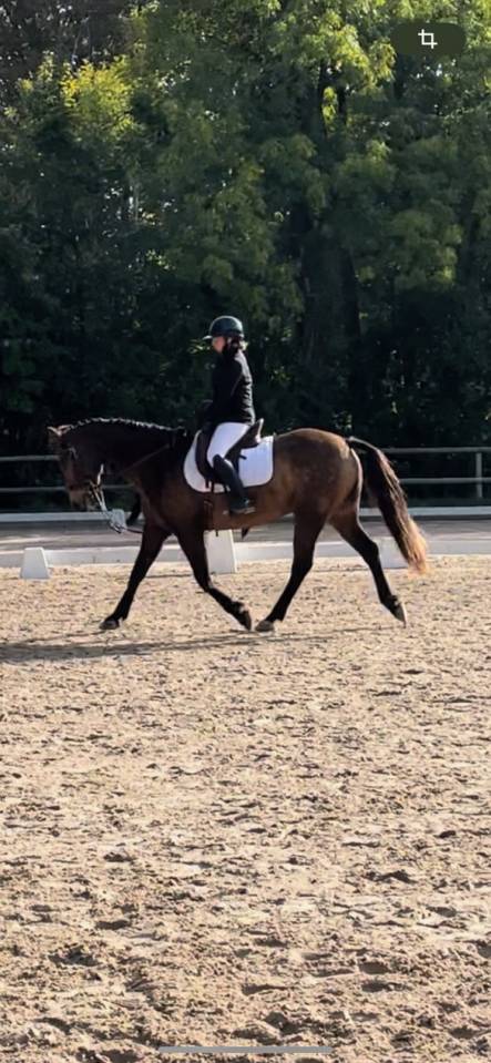 Recherche passionn&eacute;(e) - Tiers de pension - Long terme