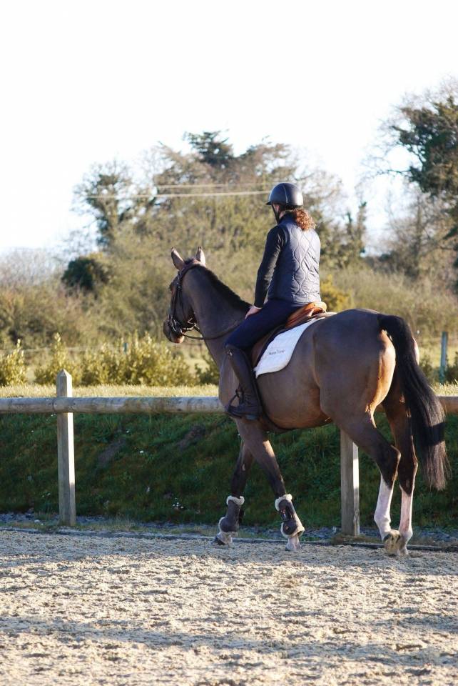 Super jument de 6 ans 