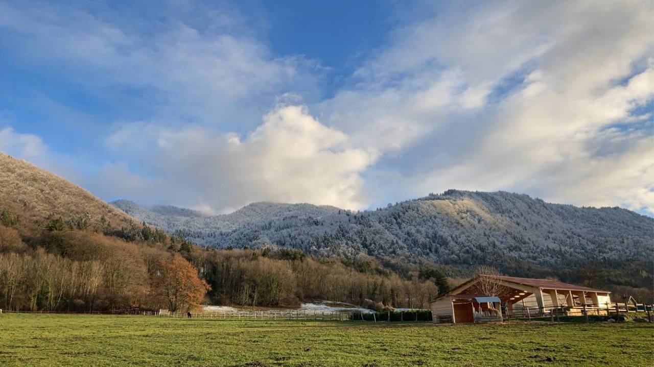 Pension &eacute;curie des grands pr&eacute;s Draillant 
