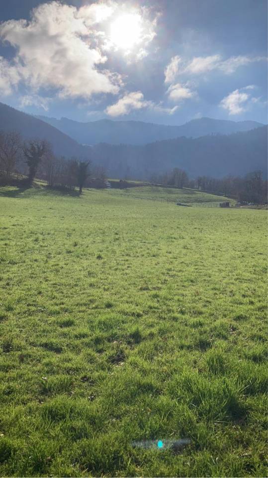 Pension &eacute;curie des grands pr&eacute;s Draillant 