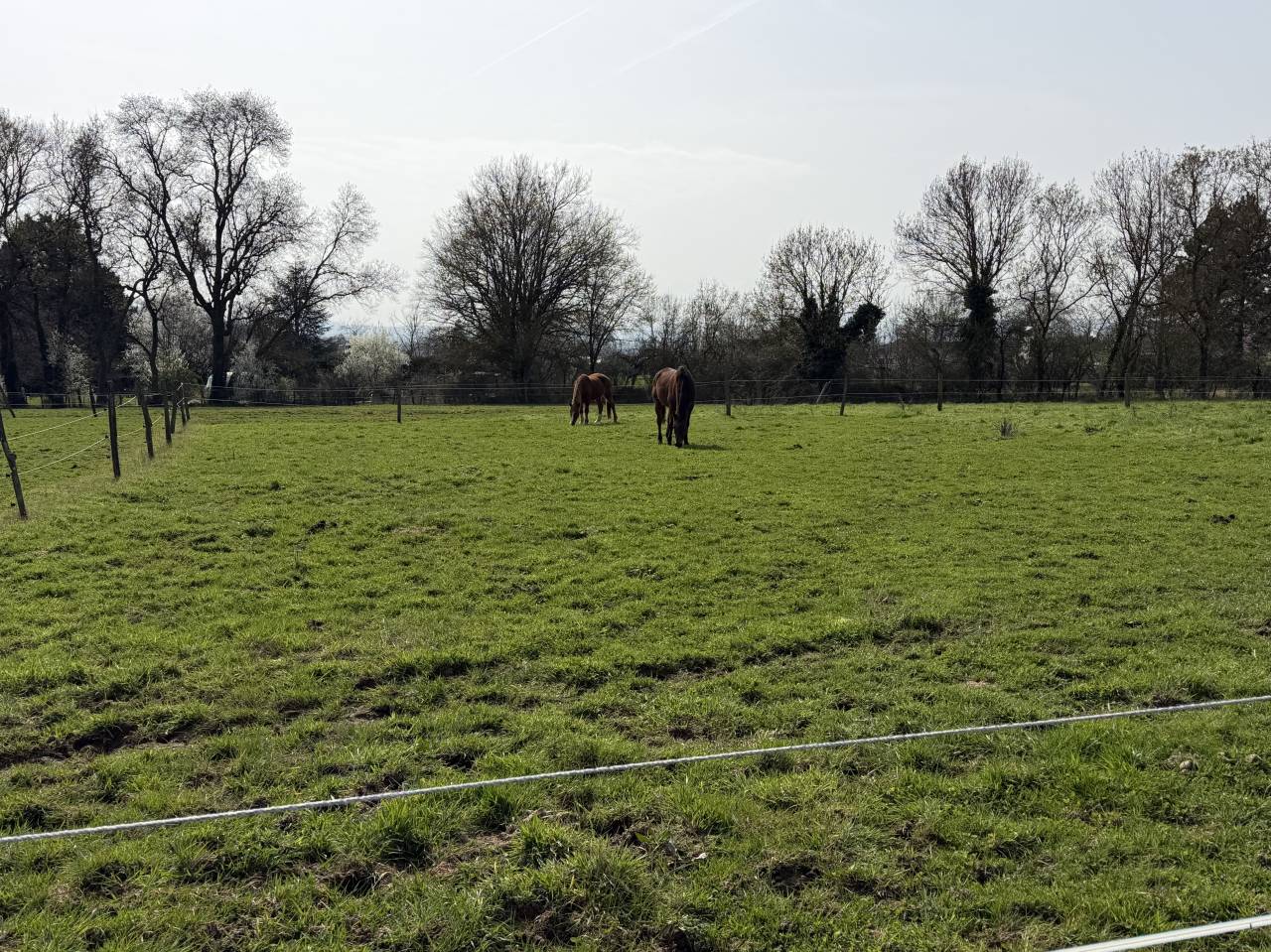 Pension pr&egrave;s box - 01480 Jassans Riottier