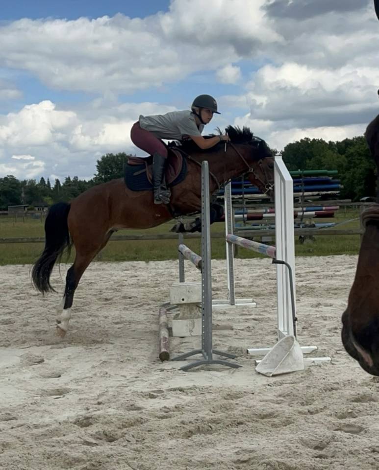 Poney &agrave; vendre 